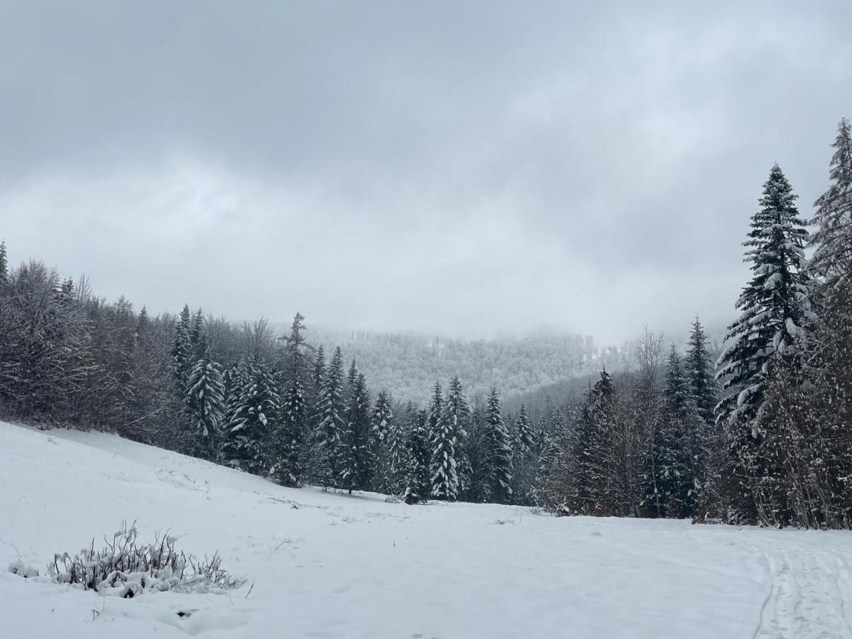 Chalet Sielsko Anielsko Stryszawa